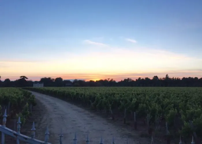 Chateau Mauras Σπίτι διακοπών *